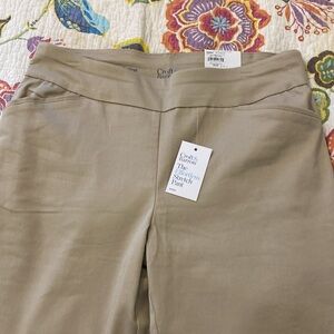 NWT Straight midrise pants
